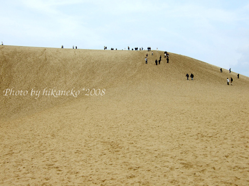 DSCF6437_馬背不高,但爬起來很要命.jpg DSCF6437_馬背不高,但爬起來很要命.jpg
