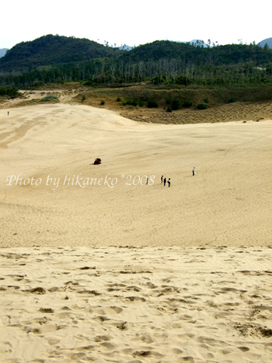 DSCF6442_好不容易終於爬到頂端.jpg DSCF6442_好不容易終於爬到頂端.jpg