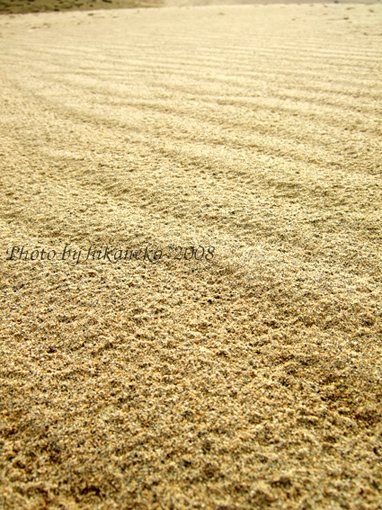 DSCF6461_好不容易找到一點沒被腳印破壞的風紋.jpg DSCF6461_好不容易找到一點沒被腳印破壞的風紋.jpg