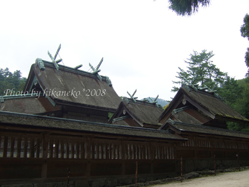 DSCF6556_出雲大社‧本殿、御向社、天前社.jpg DSCF6556_出雲大社‧本殿、御向社、天前社.jpg
