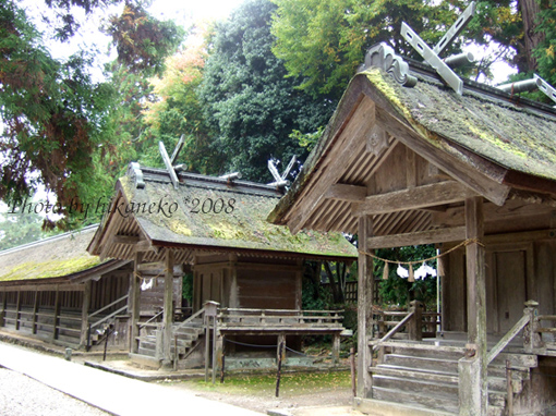 DSCF6567_兩座式社和西十九社.jpg DSCF6567_兩座式社和西十九社.jpg