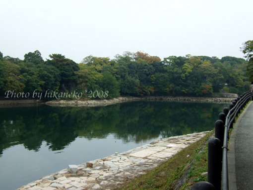 DSCF6717_隱身在對面一大片樹叢後的是日本三大名園之一的「後樂園」.jpg
