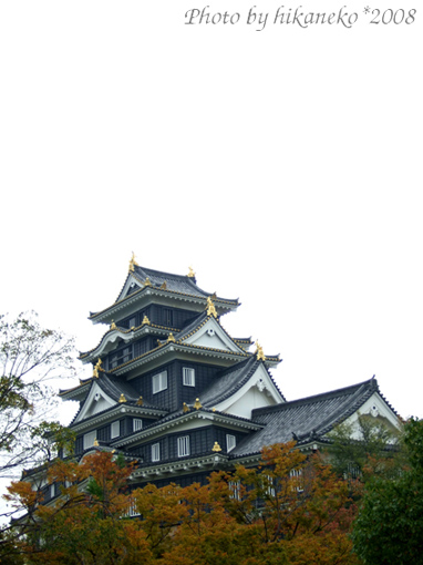 DSCF6720_應該說是低調的貴氣嗎.jpg DSCF6720_應該說是低調的貴氣嗎.jpg