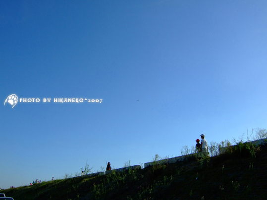 DSCF0327_堤防。天氣熱,但遊客都沒在怕的!.jpg DSCF0327_堤防。天氣熱,但遊客都沒在怕的!.jpg