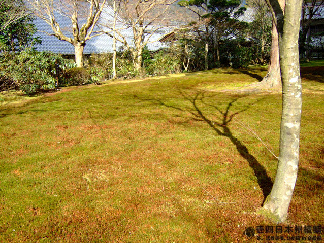 DSCF6616.jpg DSCF6616.jpg