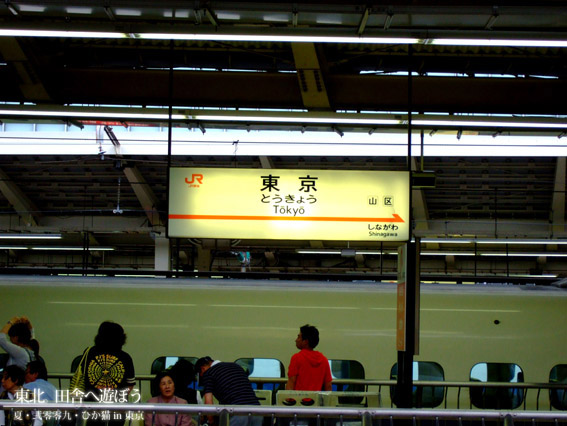 DSCF9502.jpg DSCF9502.jpg