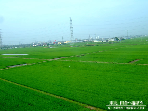 DSCF9575.jpg DSCF9575.jpg