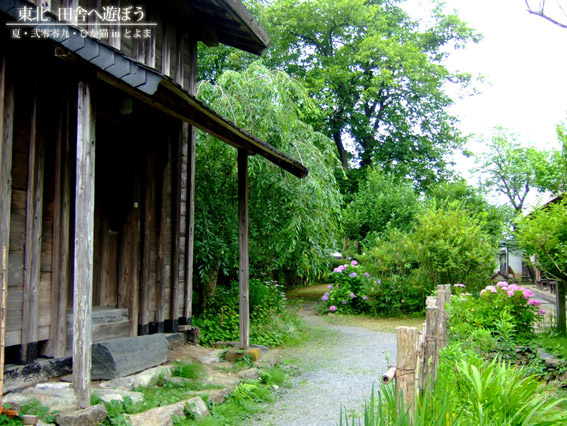 DSCF9666.jpg DSCF9666.jpg