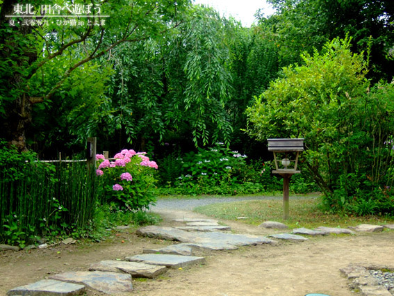 DSCF9669.jpg DSCF9669.jpg