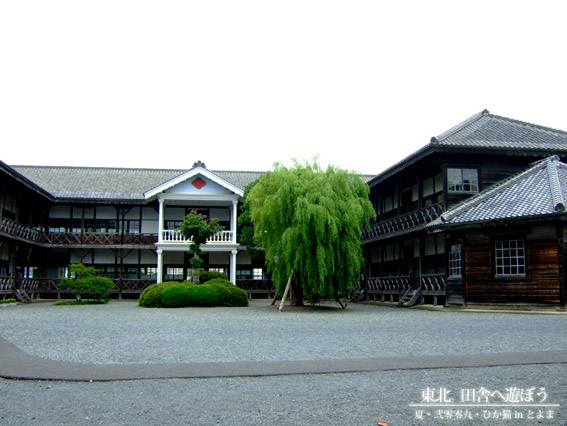 DSCF9716.jpg DSCF9716.jpg