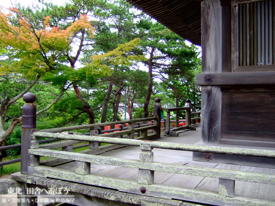 DSCF9829.jpg DSCF9829.jpg