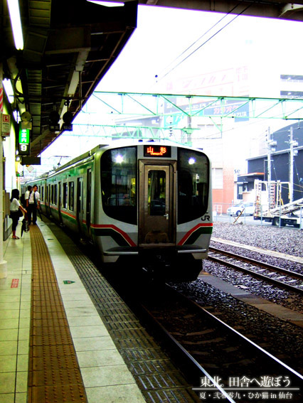DSCF9863.jpg DSCF9863.jpg