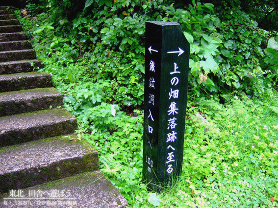 DSCF0399.jpg DSCF0399.jpg