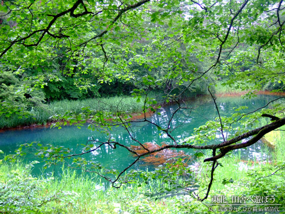 DSCF0952.jpg DSCF0952.jpg