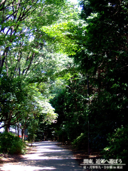 DSCF1156.jpg DSCF1156.jpg