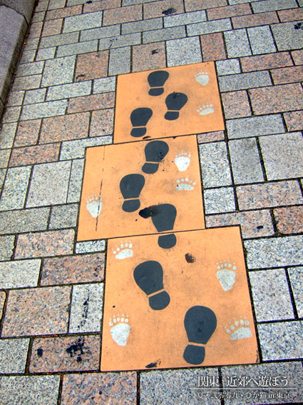 DSCF1225.jpg DSCF1225.jpg