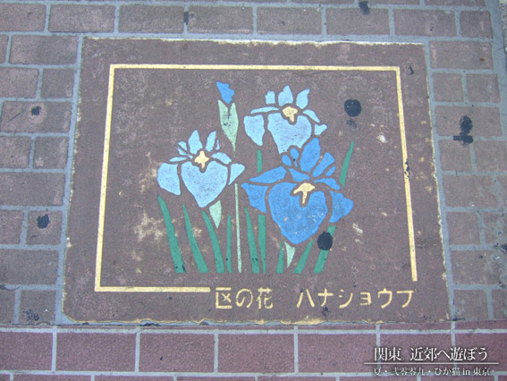 DSCF1229.jpg DSCF1229.jpg