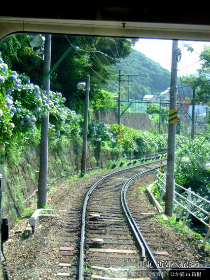 DSCF1262.jpg DSCF1262.jpg