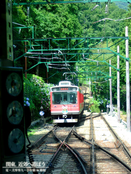 DSCF1271.jpg DSCF1271.jpg