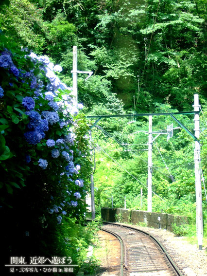 DSCF1273.jpg DSCF1273.jpg