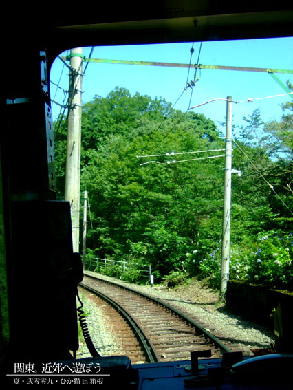 DSCF1276.jpg DSCF1276.jpg