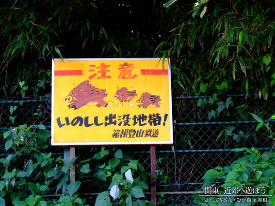 DSCF1293.jpg DSCF1293.jpg