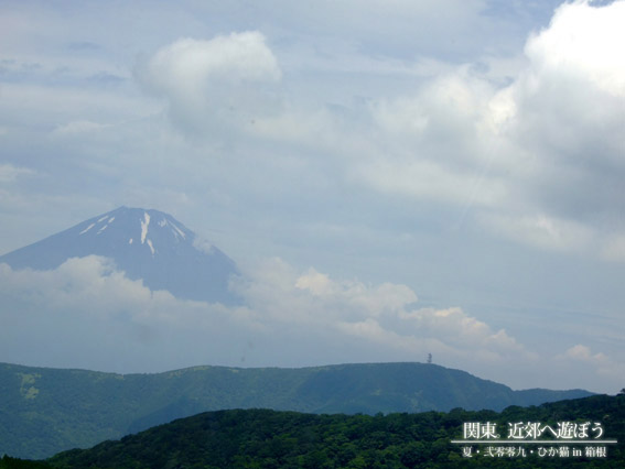 DSCF1304.jpg DSCF1304.jpg