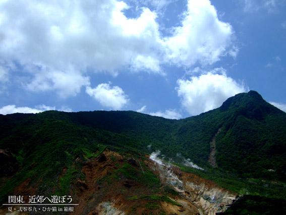 DSCF1315.jpg DSCF1315.jpg