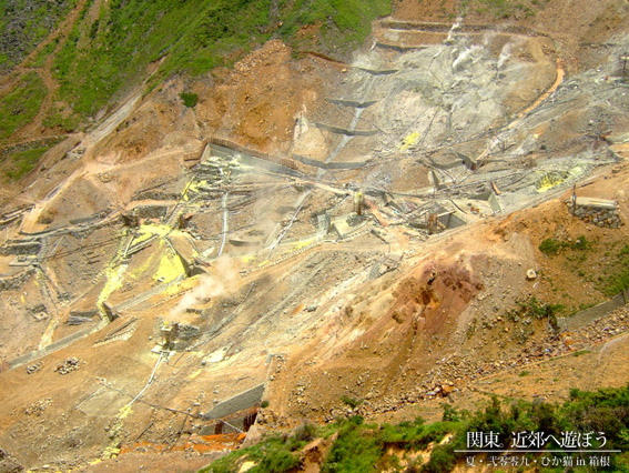 DSCF1318.jpg DSCF1318.jpg