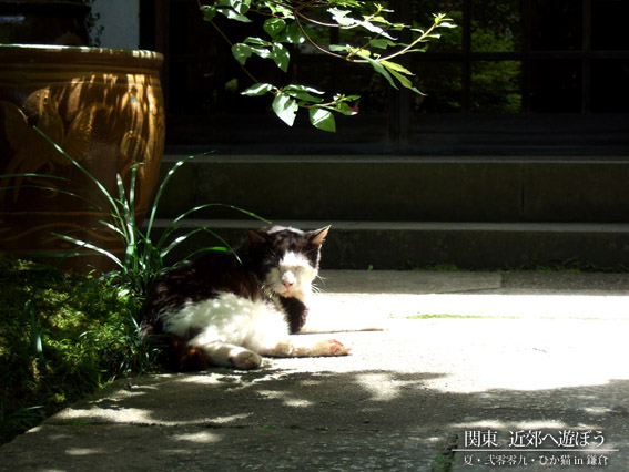 DSCF1598.jpg