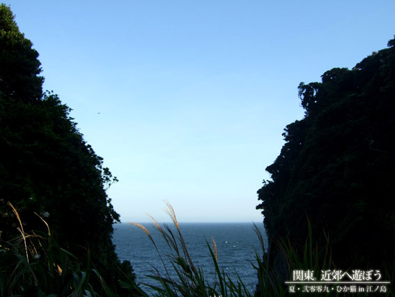 DSCF1758.jpg DSCF1758.jpg