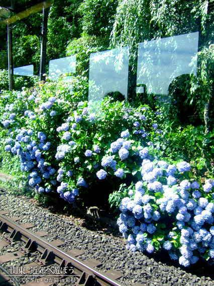 DSCF1281.jpg DSCF1281.jpg