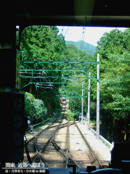 DSCF1270.jpg DSCF1270.jpg