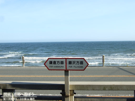 DSCF1714.JPG DSCF1714.JPG