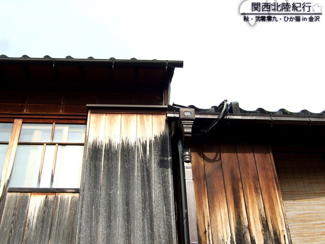DSCF2503.jpg DSCF2503.jpg