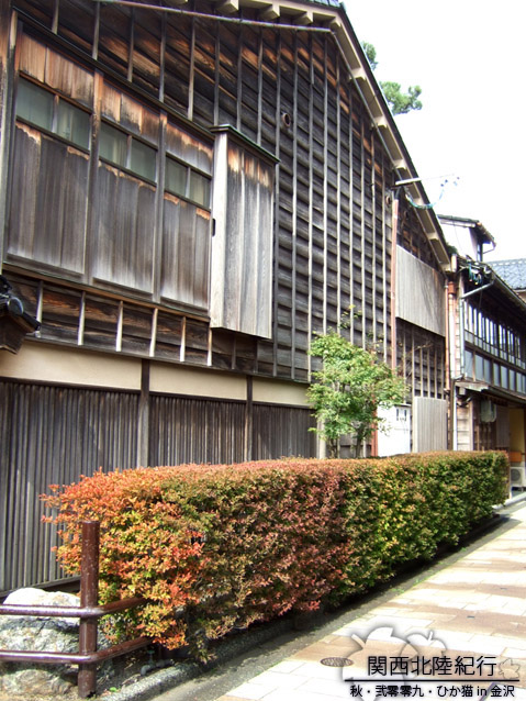 DSCF2513.jpg DSCF2513.jpg