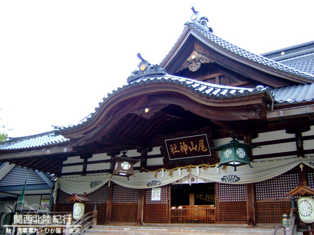 DSCF2650.jpg DSCF2650.jpg