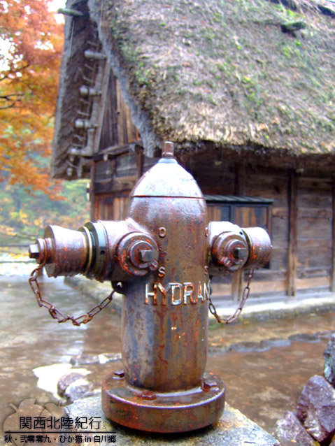 DSCF2770.jpg DSCF2770.jpg