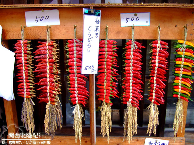 DSCF2860.jpg DSCF2860.jpg