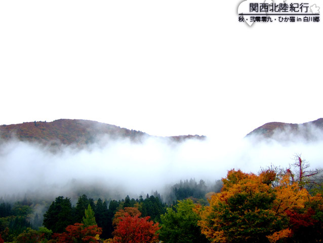 DSCF2930.jpg DSCF2930.jpg