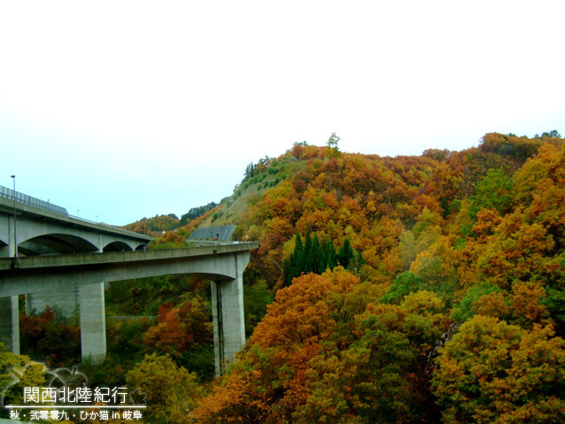 DSCF2939.jpg DSCF2939.jpg