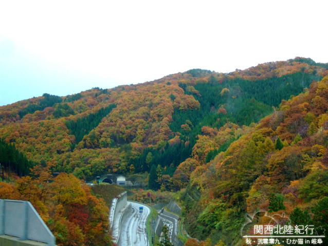 DSCF2940.jpg DSCF2940.jpg