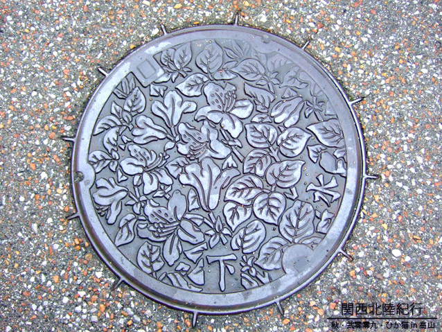 DSCF2955.jpg DSCF2955.jpg