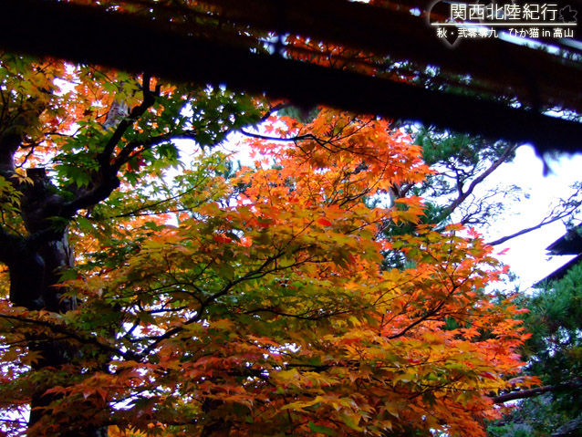 DSCF2978.jpg DSCF2978.jpg