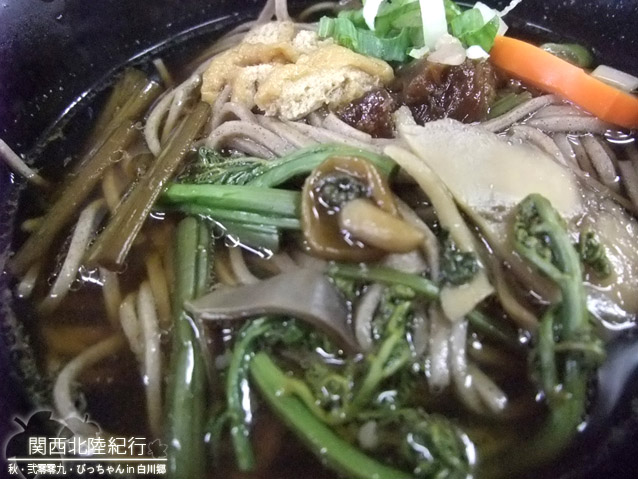 DSCF1417-2.JPG DSCF1417-2.JPG