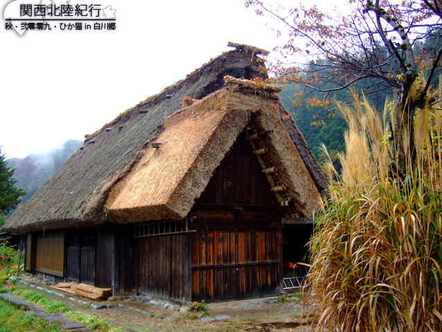 DSCF2856.jpg DSCF2856.jpg