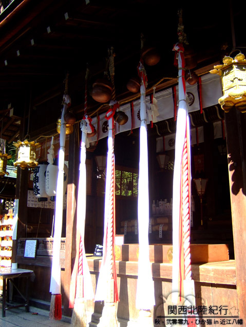 DSCF3159.jpg DSCF3159.jpg