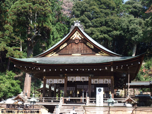 DSCF1631-2.jpg DSCF1631-2.jpg