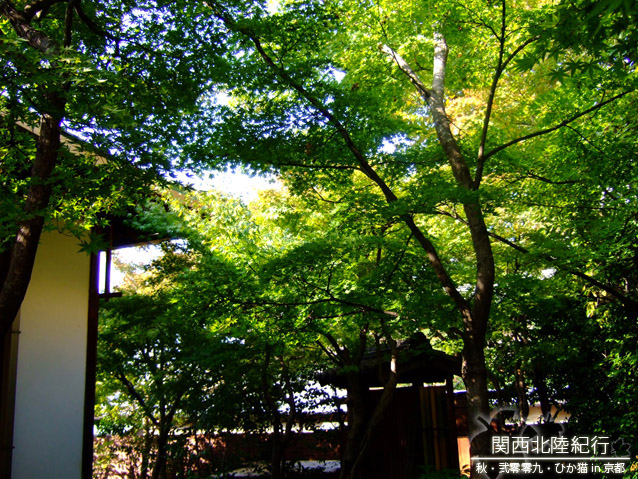 DSCF3297.jpg DSCF3297.jpg