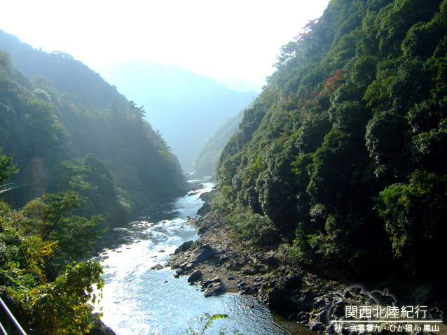 DSCF3434.jpg DSCF3434.jpg